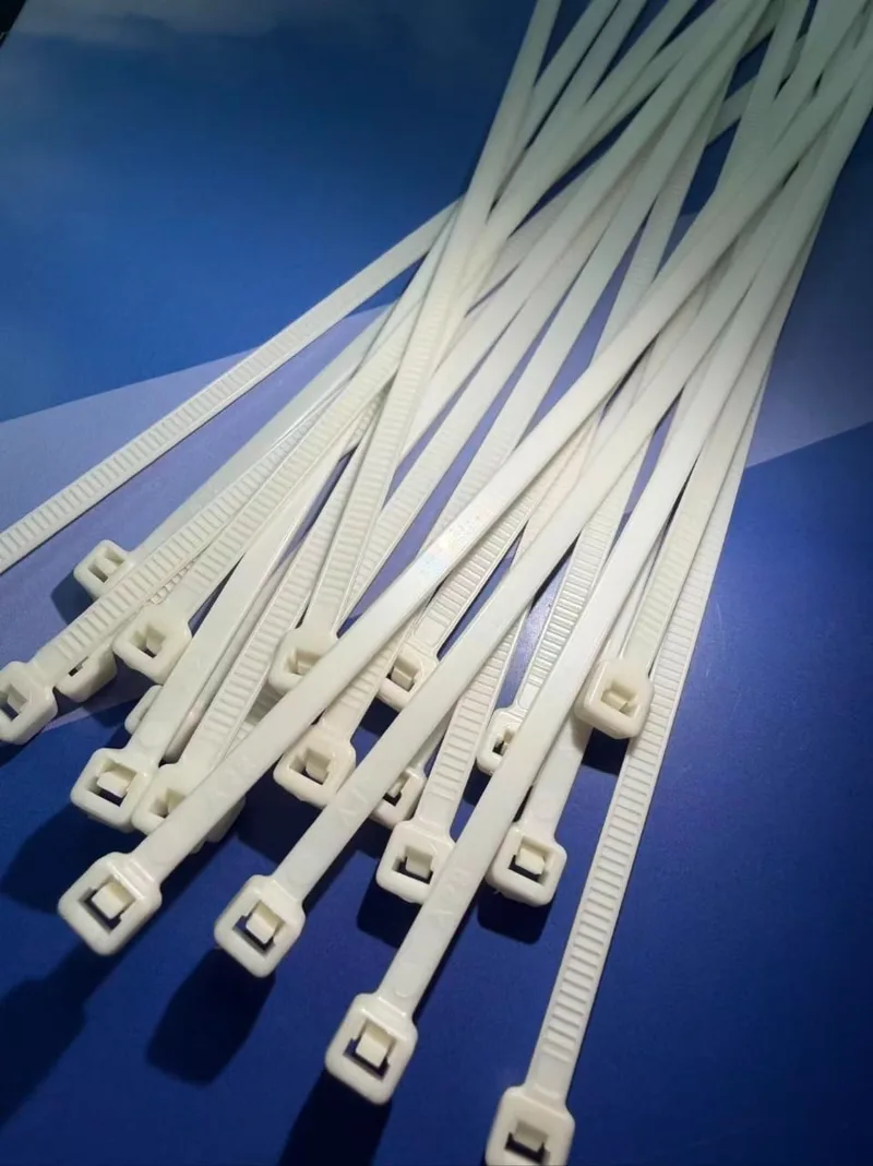 Molded nylon cable ties